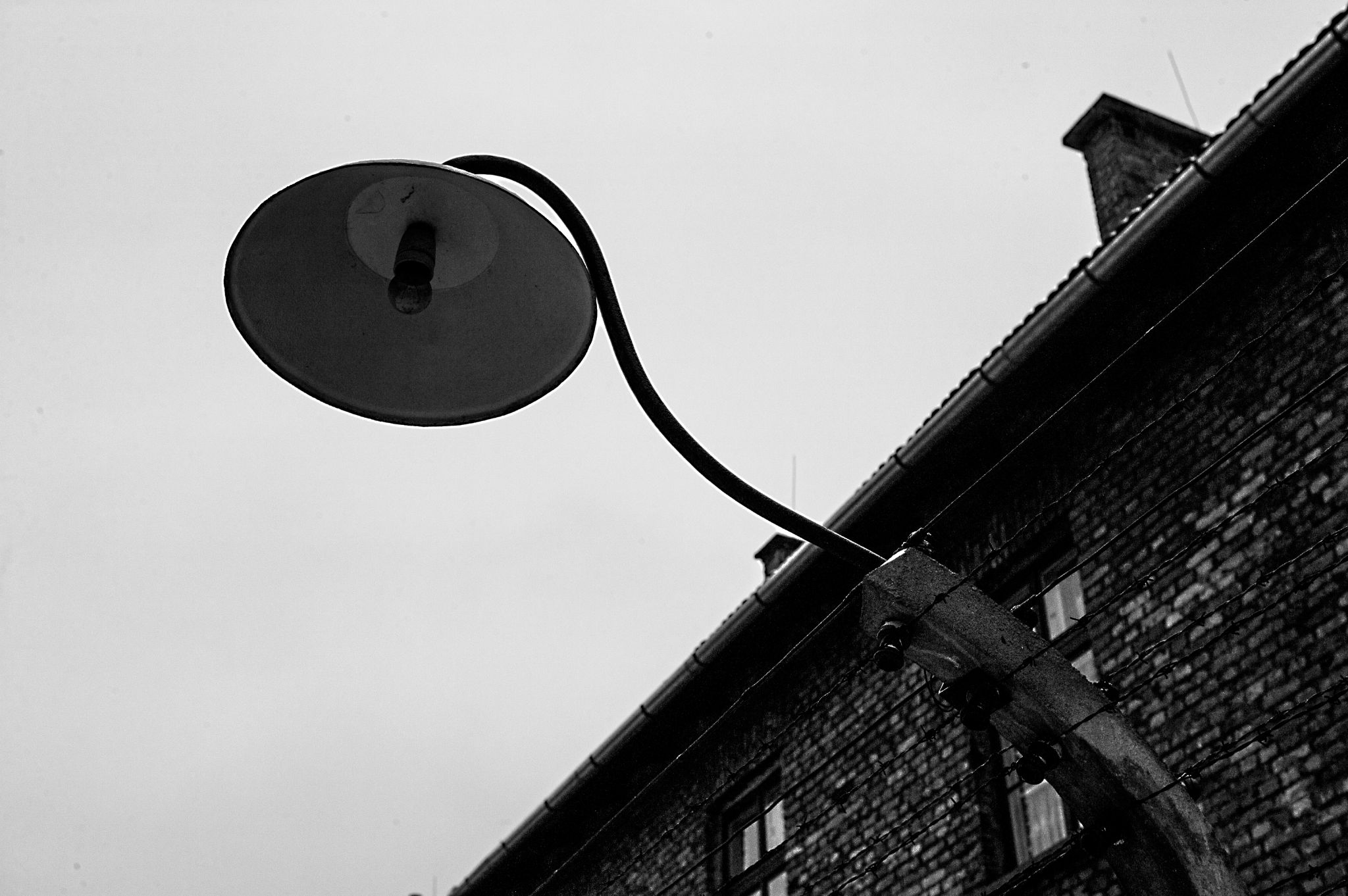  Sevaillians lamp 